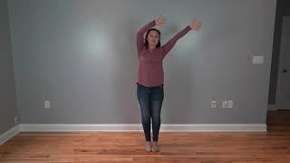 Dancer And Prancer - Kids choreography video