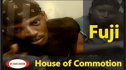 THE FUJI HOUSE: A MAD HOUSE