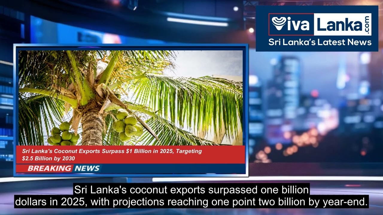 Sri Lanka's Coconut Exports Surpass $1 Billion in 2025, Targeting $2.5 Billion by 2030