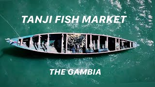 TANJI FISH MARKET: A WHETSTONE DISPATCH FROM THE GAMBIA