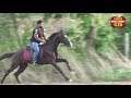         nagpur horse riding club