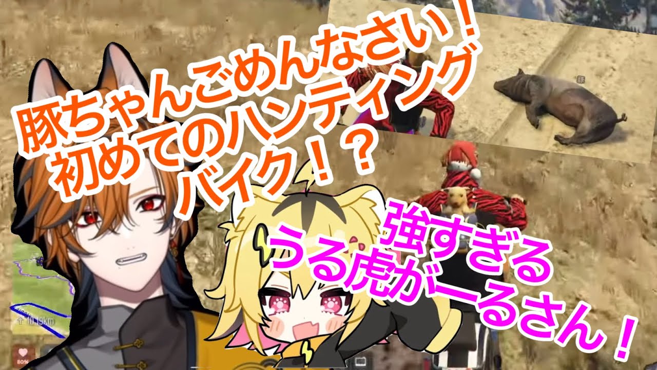 【切り抜き】【坂本こん/ゆにれいど！】#グラセフ #NEWTOWN ハンティングは命がけ！！坂本こん🦊うる虎がーる🐯