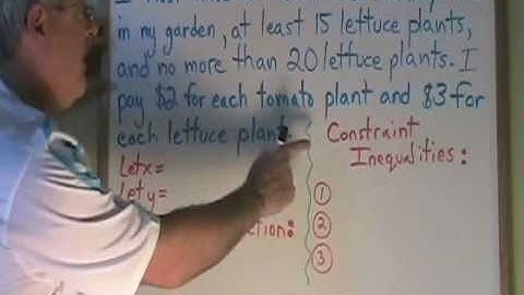 Linear Programming: Constraint Inequalities and the Function to be Optimized