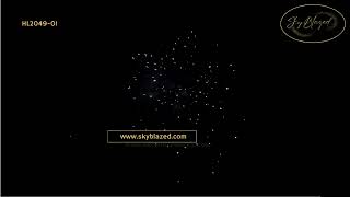 FIREWORKS HL2049 01