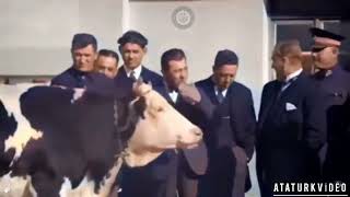 Atatürkün Kendi Görüntüsü Ve Sesi İle Türk İnek Üreticilerinden Bilgi Alırken Ki 