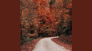 November 2