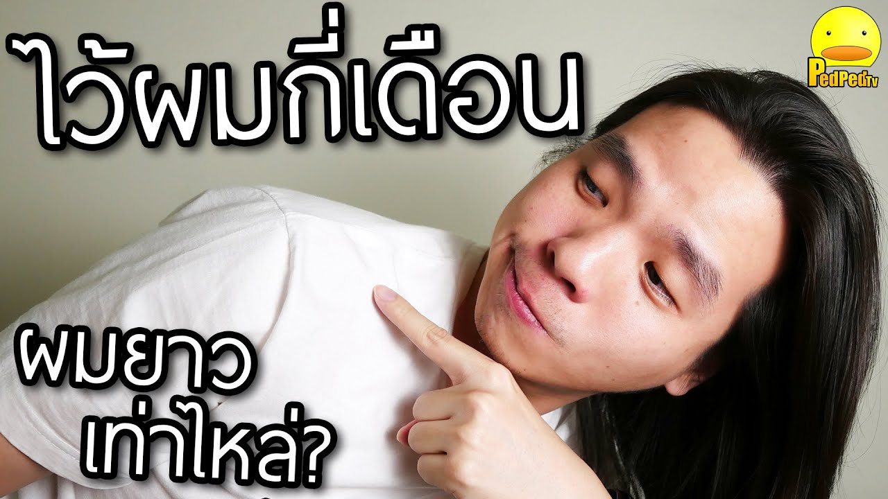 ผู้ชายต้องผมสั้น  New  ไม่ตัดผมกี่เดือนผมยาวเท่าไหร่? - ไว้ผมยาวทำไม Ep1 - PedPed TV