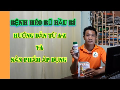 Video: Triệu chứng Fusarium ở Bầu bí: Quản lý Héo Fusarium Bầu bí trong Vườn