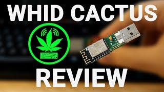 WHID Cactus Review