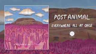 Vignette de la vidéo "Post Animal - Everywhere All At Once [OFFICIAL AUDIO]"