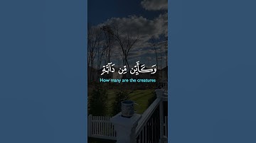 قران كريم بصوت جميل جدا #اكسبلور