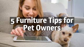 5 Furniture Tips for Pet Owners