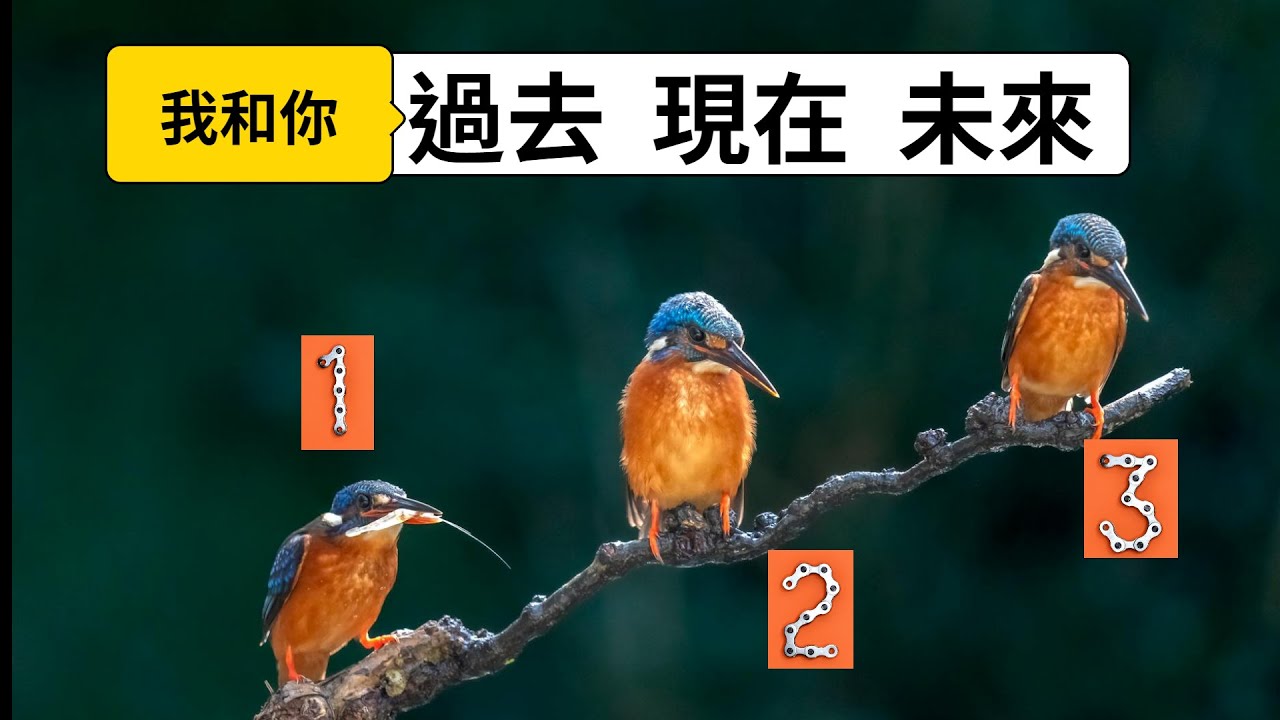 櫻之塔羅Yin’s Tarot❤️過去現在未來 | 大眾占卜 | 感情關係 | 中英字幕  | Timeless