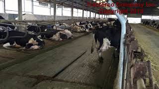 TRACTORCO - Manure Scraper