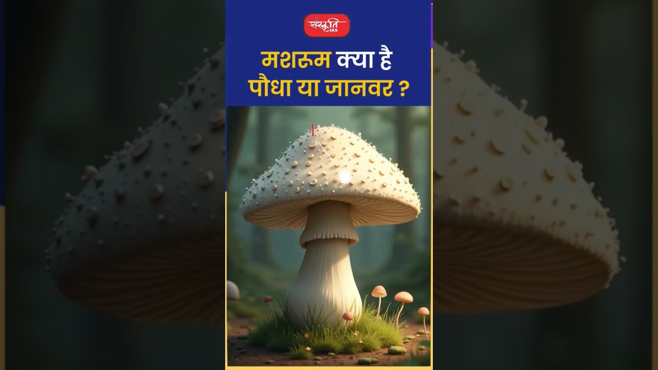 मशरुम क्या है पौधा या जानवर ? #riteshjaiswalsir #science&nbsp;#shorts