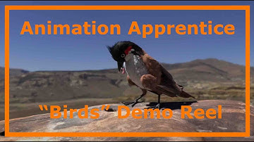 Birds Animation Demo Reel from Animation Apprentice