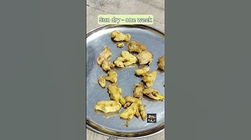Dry Ginger Easy Homemade recipe Gd for health#shorts #mamaskitchen