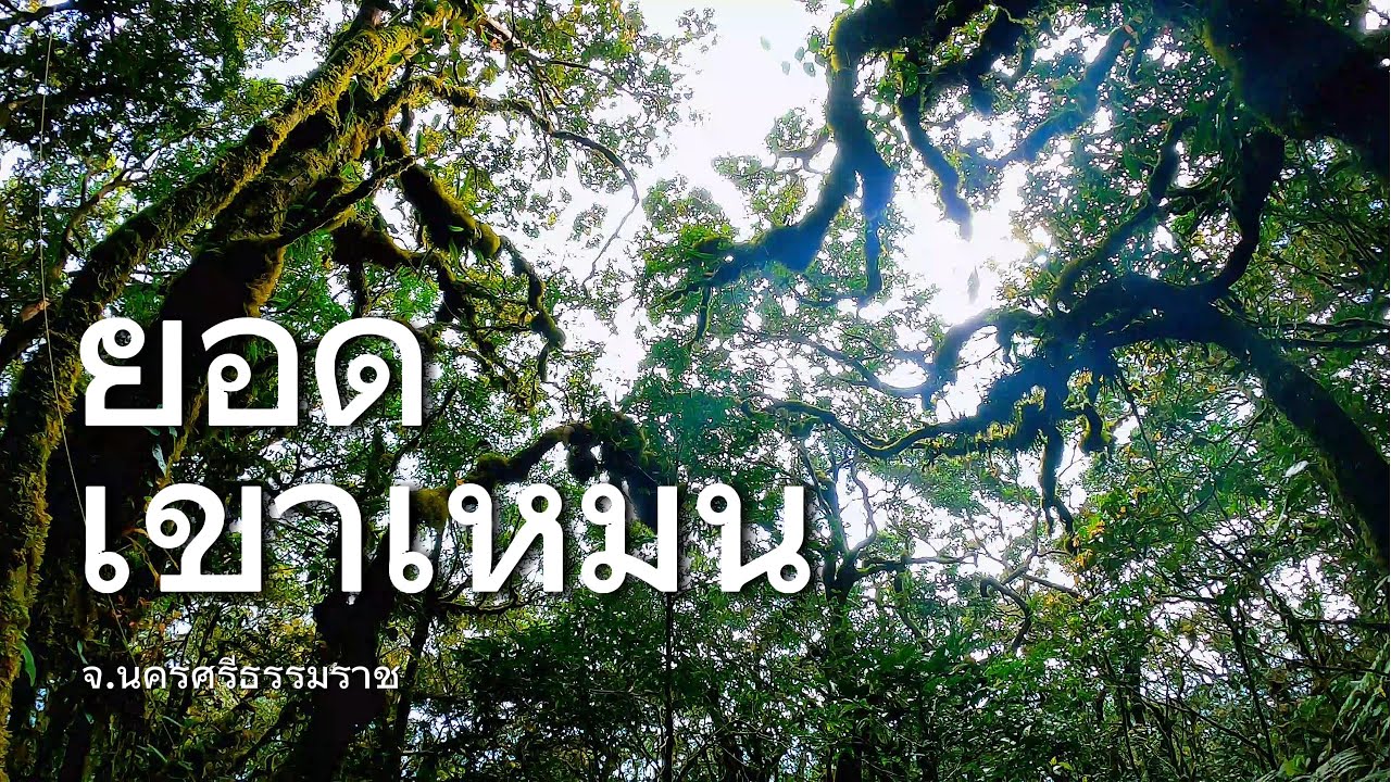 เขาเหมน ป่าใต้ที่มีวิวสวยจริงรึ ?