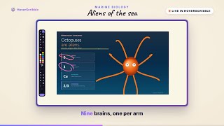 The Octopus Is Basically an Alien