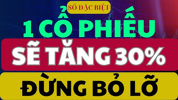 Phân tích cổ phiếu: POW TỔNG CÔNG TY ĐIỆN LỰC DẦU KHÍ VIỆT NAM CỔ PHIẾU TIỀM NĂNG & ĐÁNG MUA KHÔNG?