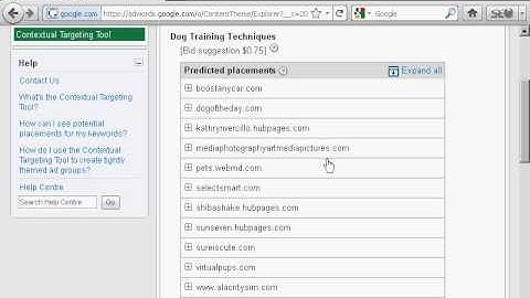 Internet Marketing Series - Video 15  - How to Use Google Contextual Targeting Tool