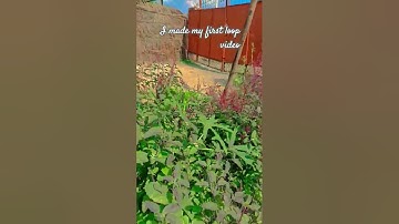 I made my first loop #music #beats #lofi video