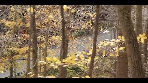 Happy Holidays - Fabless Manufacturing