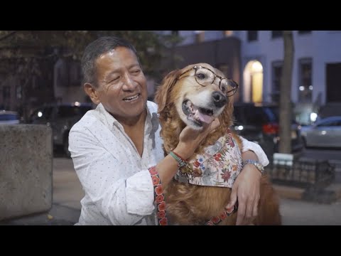 Video: Senior Pup 