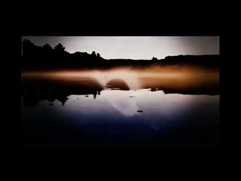 Walden Media Logo 2006