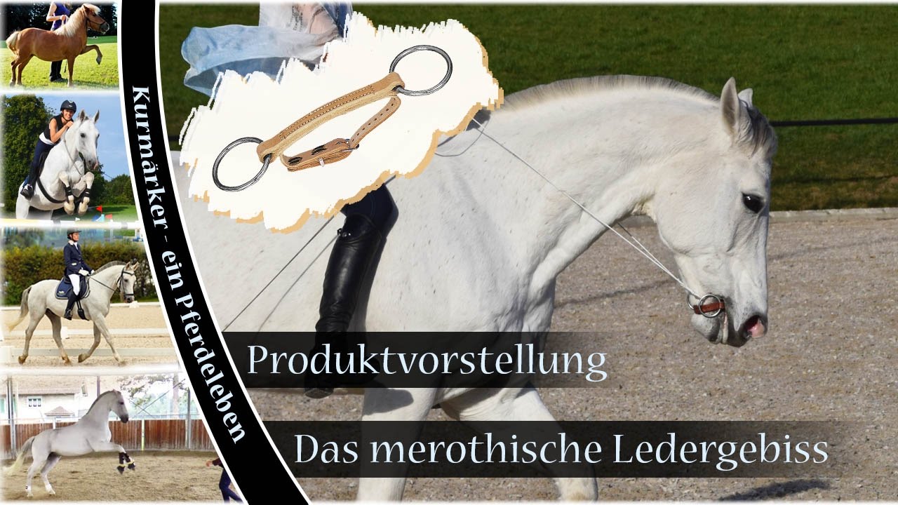 [Produktvorstellung] Das merothische Ledergebiss