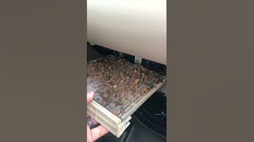 What’s a cabin air filter?