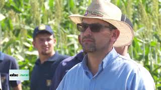 Jornada de campo de sorgo, con novedades y organizada por Ideagro