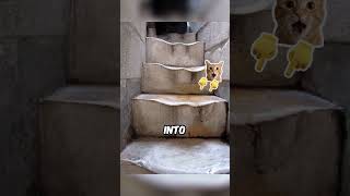 PHOTOS THAT SHOW THE POWER OF TIME  PT1