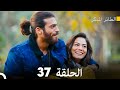 مسلسل الطائر المبكر الحلقة 37 دوبلاج عربي 