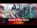 কয়লার জাহাজে লাফিয়ে উঠলো ৩ মন ইলিশ | Dhakapost News