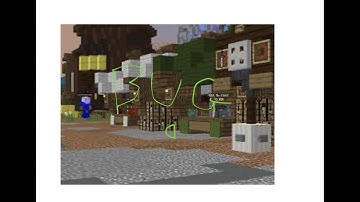 New bug i found (Hypixel Skyblock)