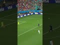 واحد من اجمل الاهداف في تاريخ كاس العالم هدف فان بيرسي ضد اسبانيا    