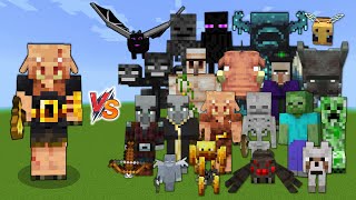 Piglin brute vs Every mob in Minecraft (Java Edition) - Minecraft 1.19 Piglin brute vs All Mobs