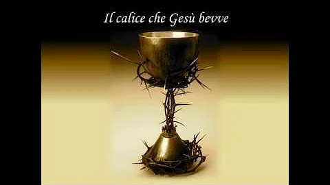 Come è composto il calice?