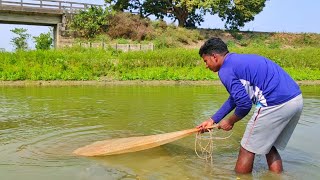 Best Net Fishing Traditional Cast Net Fishing In Beautiful Natural Village (Part - 31)