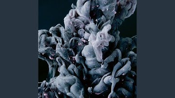 Pulsating Backdrops for Blue Relaxation