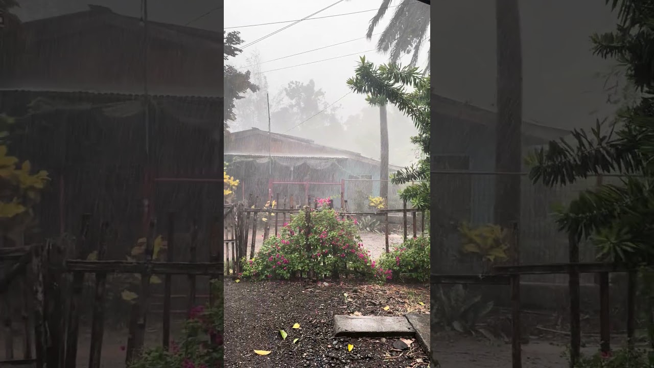 Kakusog sa ulan og hangin π±