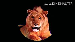 MGM LEO THE LION FOOTAGE (1956) (For Bloo J And Pink Panther J And Shelvy Ritter)