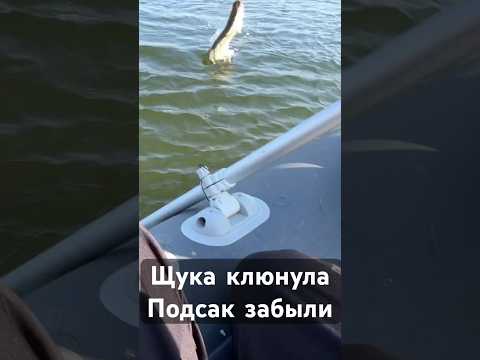 #рыбалка#рыбалка2023#рыба #рыбалкаслодки#щука#спиннинг2023#поклевка#петропавловск#казахстан#ско#fish