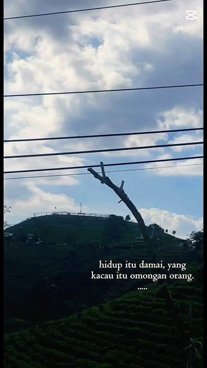 Hidup damai #arrahman #cover #dangdut #lagu #rungkad #nemen #koplo #storytime #arrahman