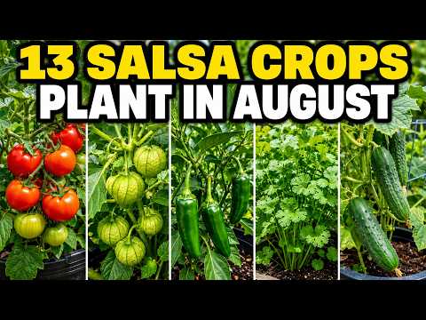 13 Salsa Garden Crops to Grow in August for Fresh Summer Harvests