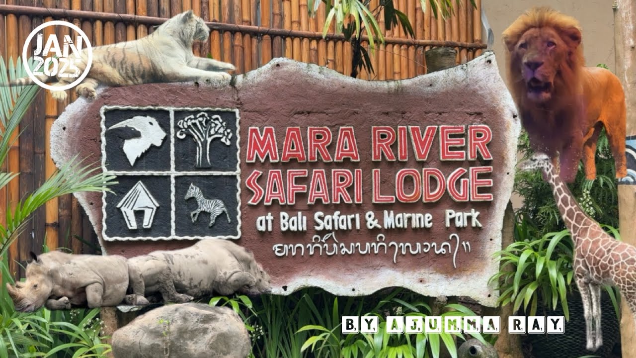 Bali - Staying at Mara River Safari Lodge