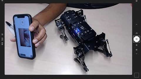 HiWonder PuppyPi Quadruped ROS based Robot Dog RaspberryPi Python Lidar Programming Review Part  1