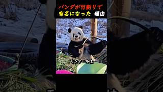 パンダと竹のサンドアートオブジェ パンダと竹のサンドアートオブジェ パンダのいるテーマパークで