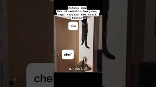 kerja #cheflife #kapalpesiar #komedi